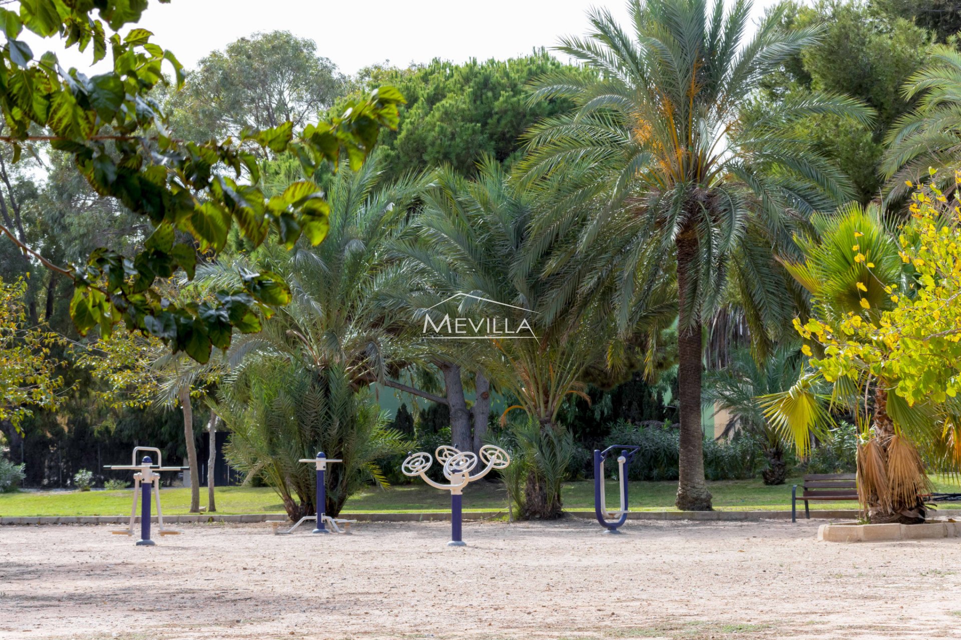 Återförsäljare -  - Orihuela Costa - La Zenia