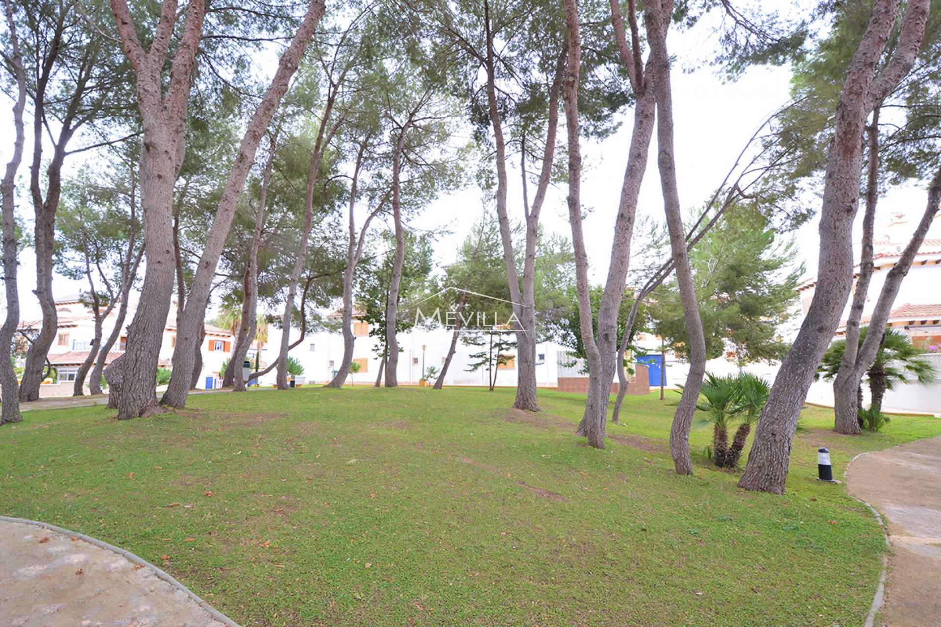 Återförsäljare -  - Pilar de la Horadada - Torre de la Horadada