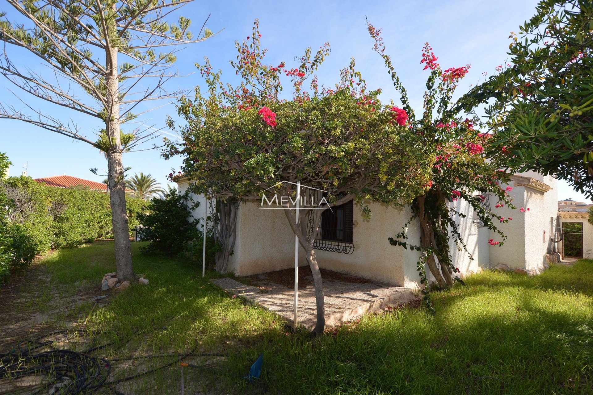 Återförsäljare - Plot - Orihuela Costa - La Zenia