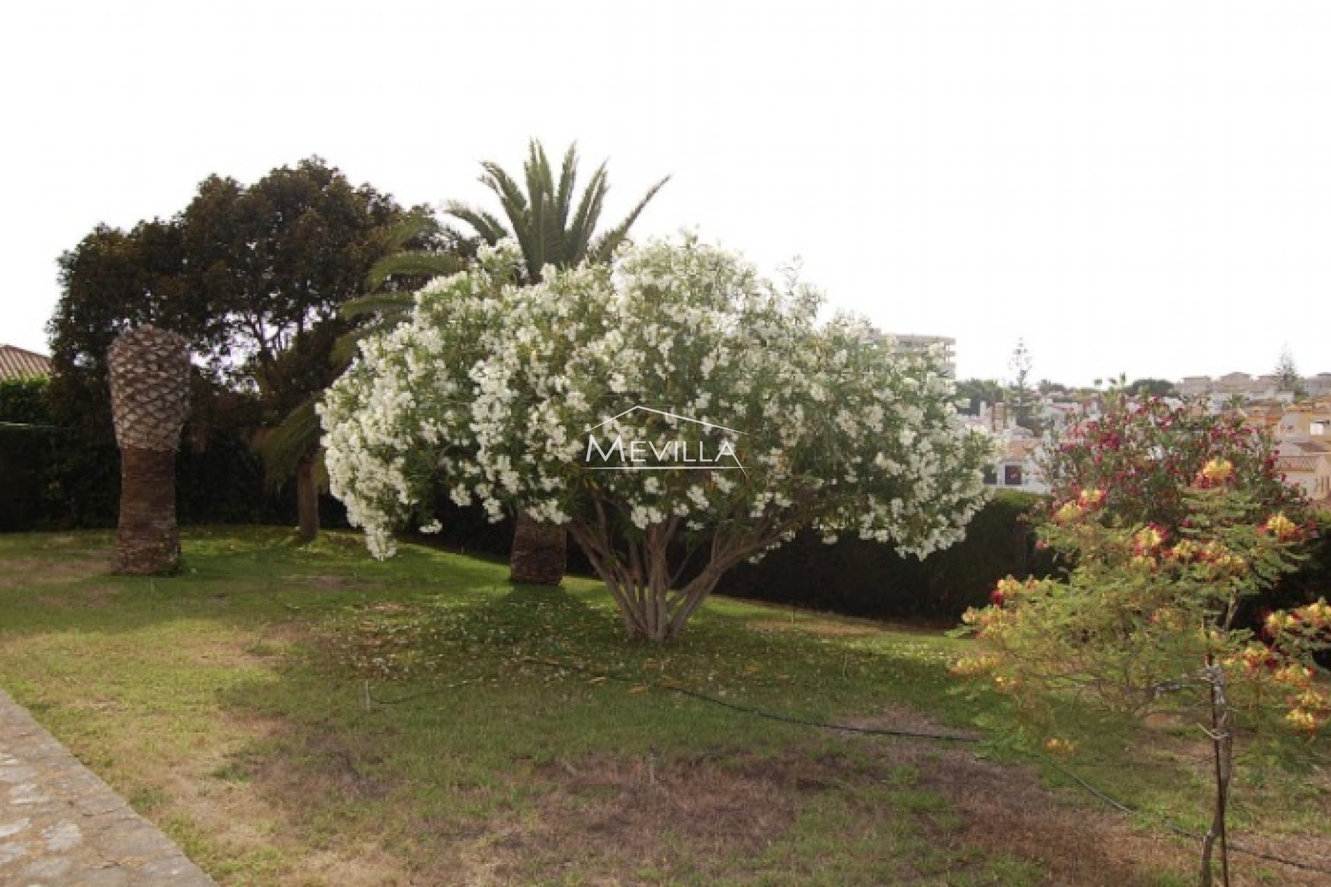 Återförsäljare - Villa - Orihuela Costa - Cabo Roig
