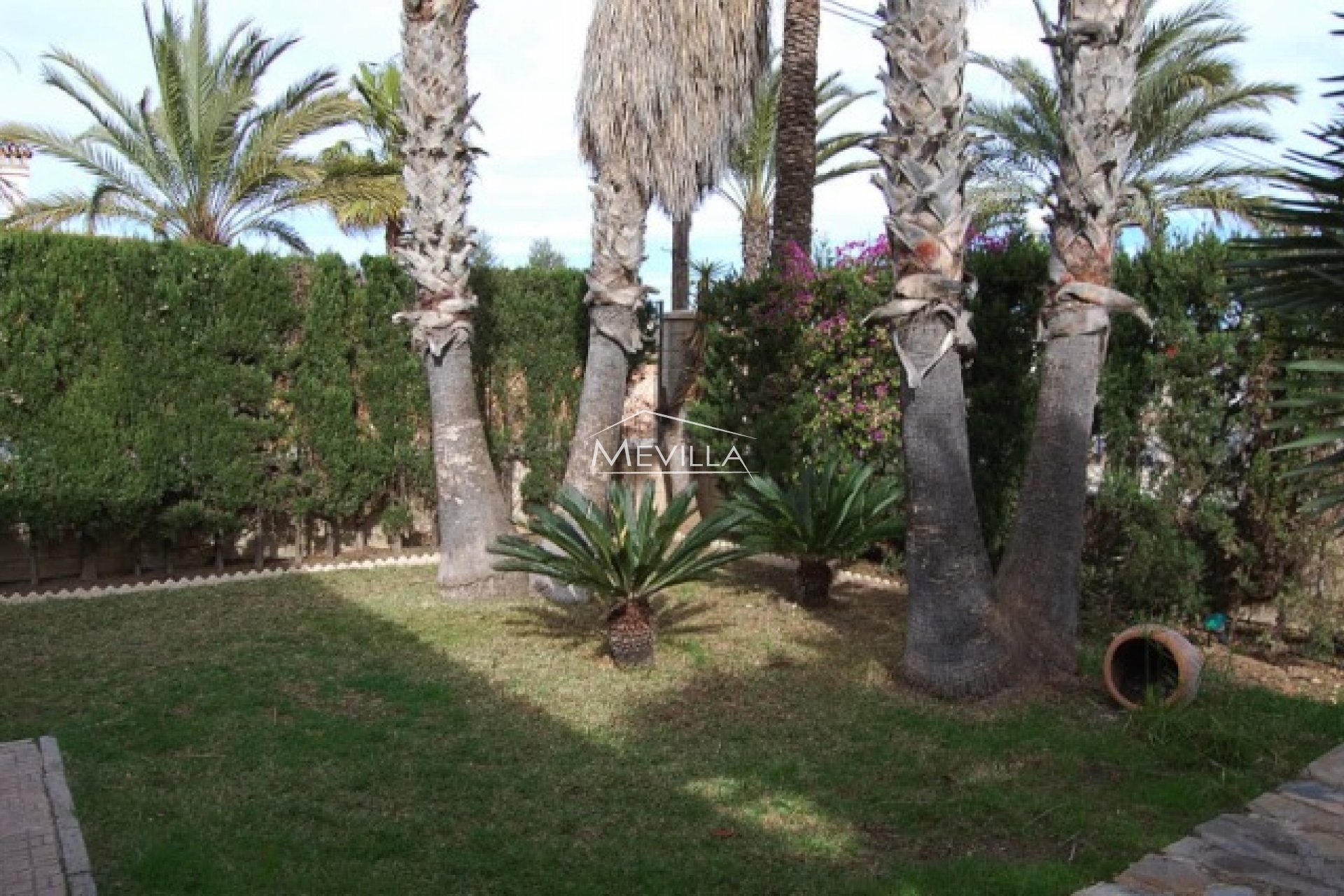 Der schöne Garten