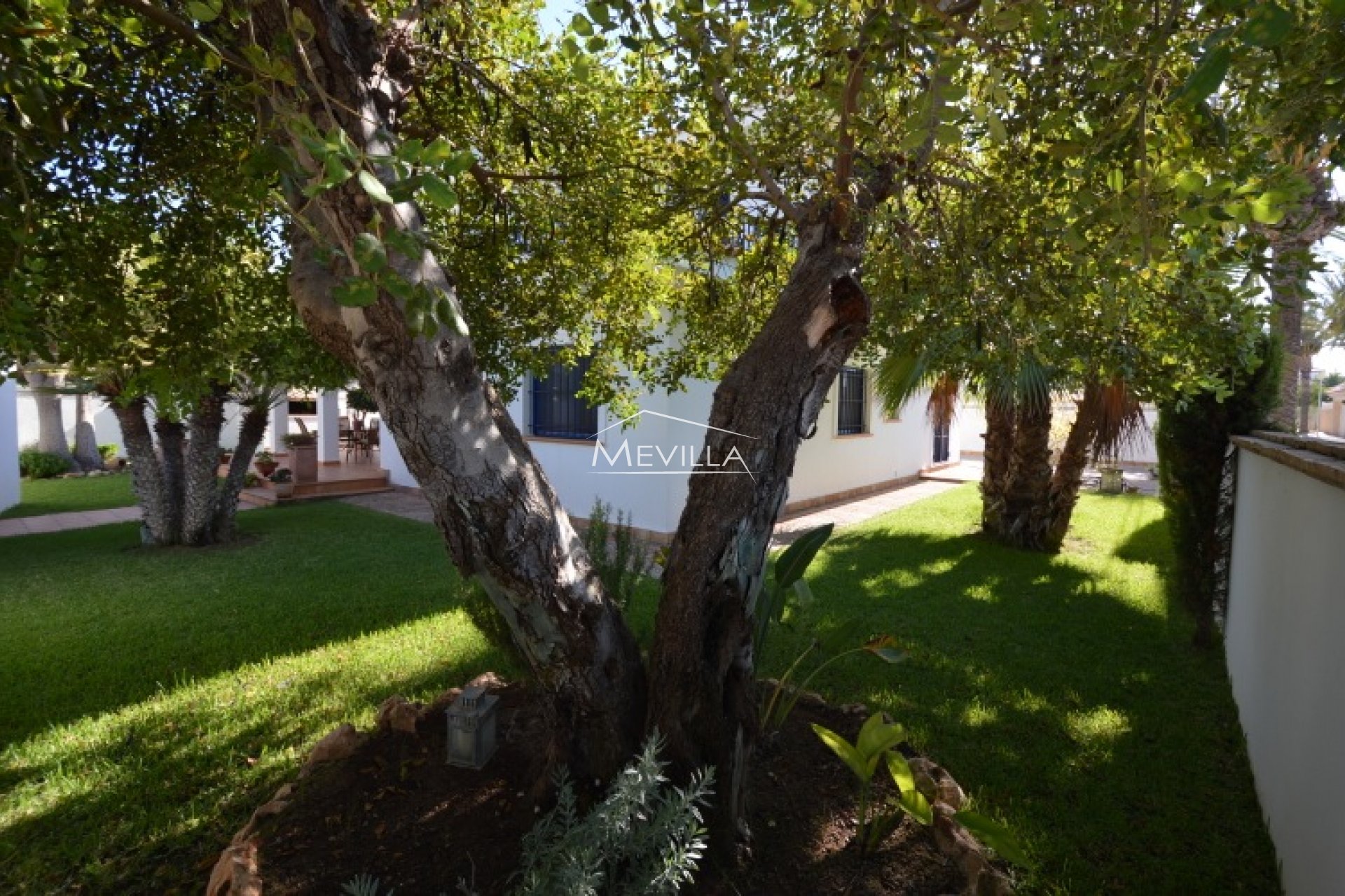 El jardin