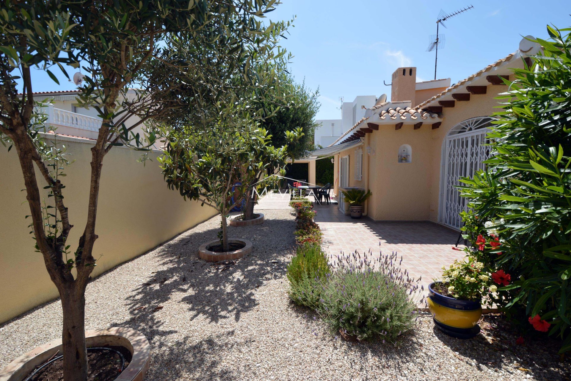 El jardin