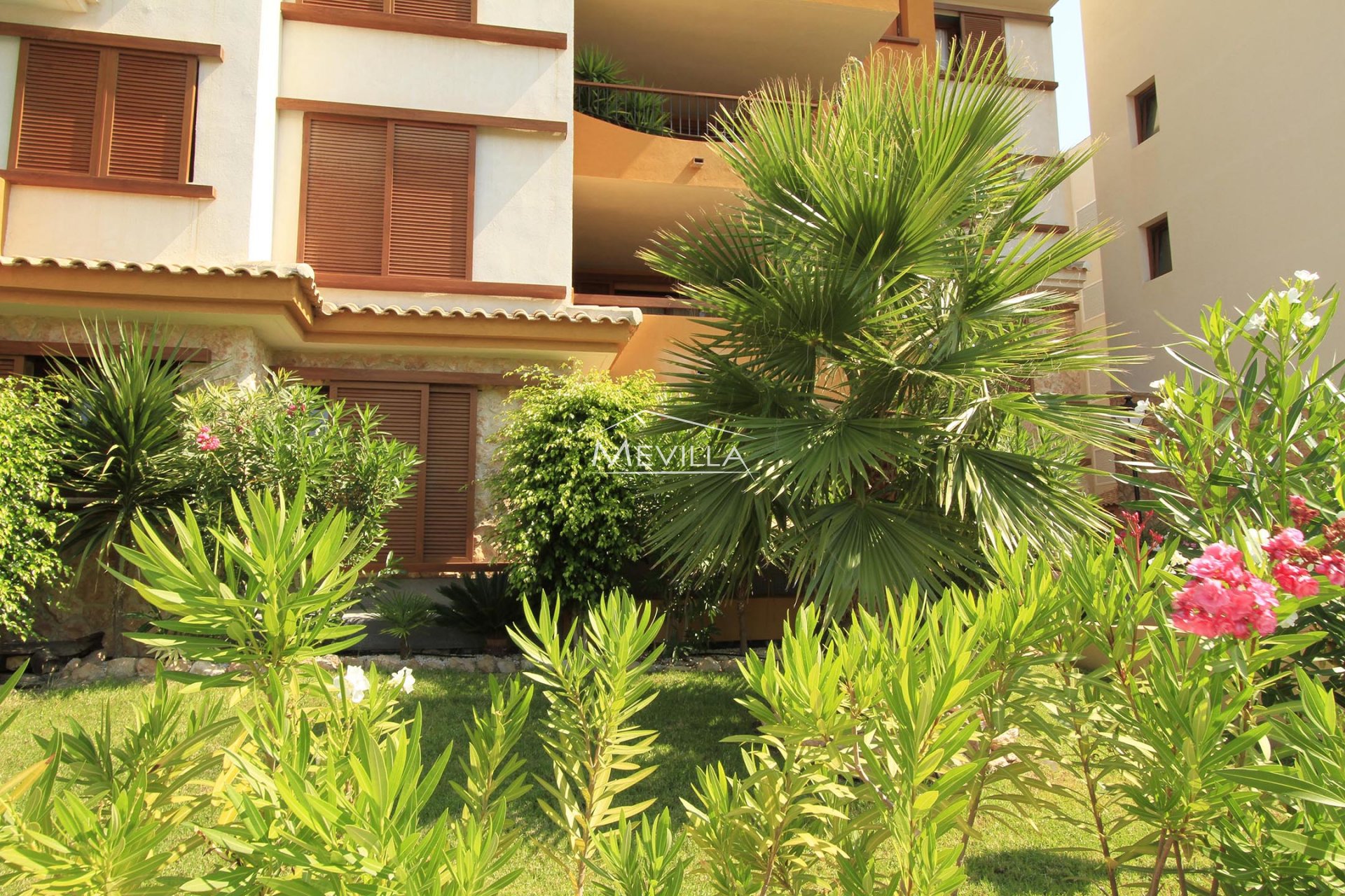 New built - Apartment - Orihuela Costa - Punta Prima
