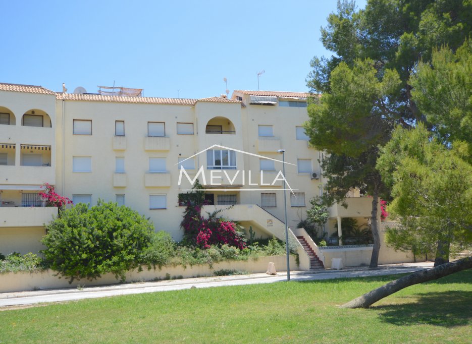 Rentals - Apartment - Orihuela Costa - La Zenia