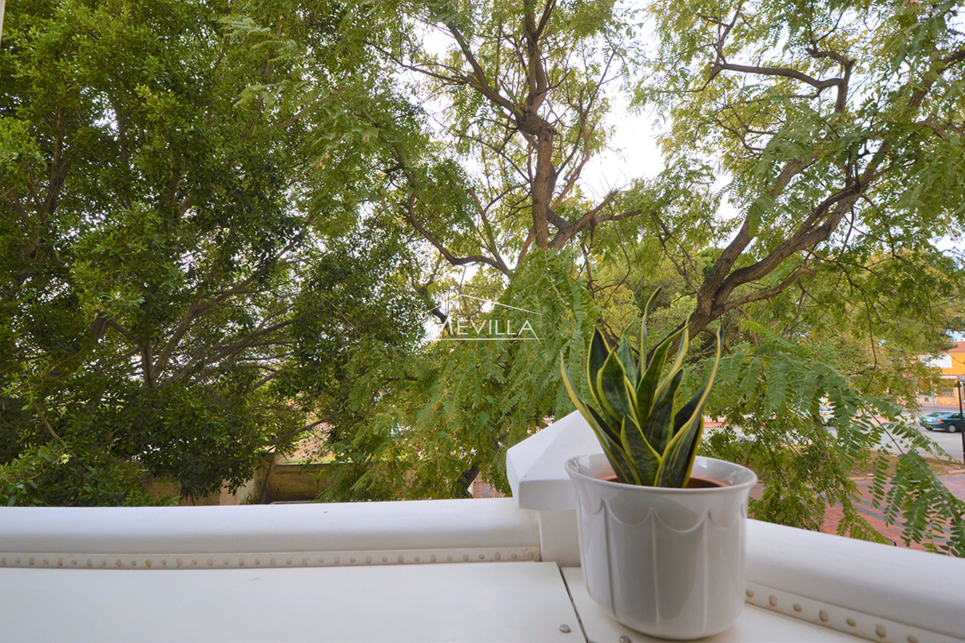 Resales - Apartment - Torrevieja