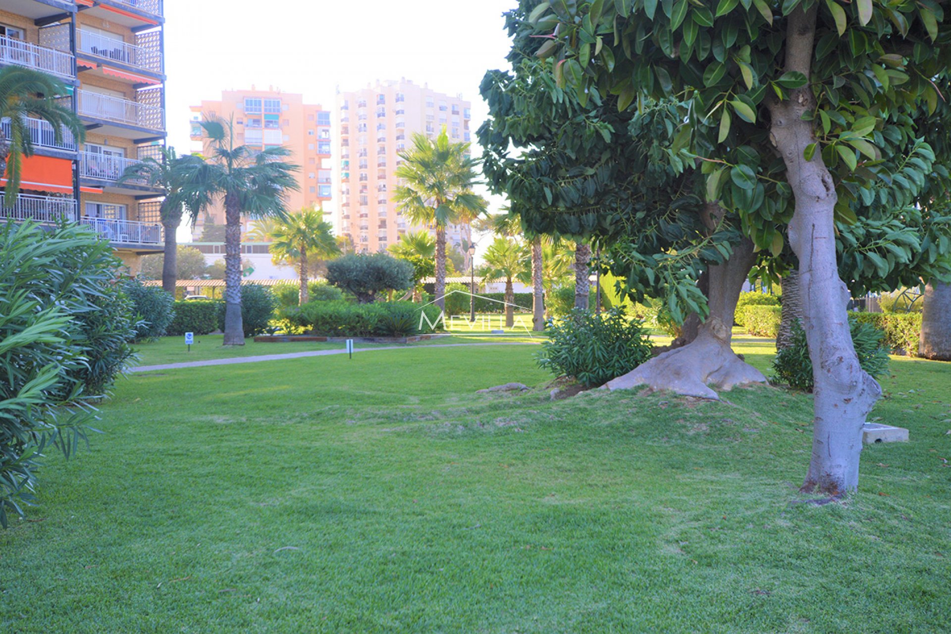 Resales - Flat / Apartment - Orihuela Costa - Campoamor