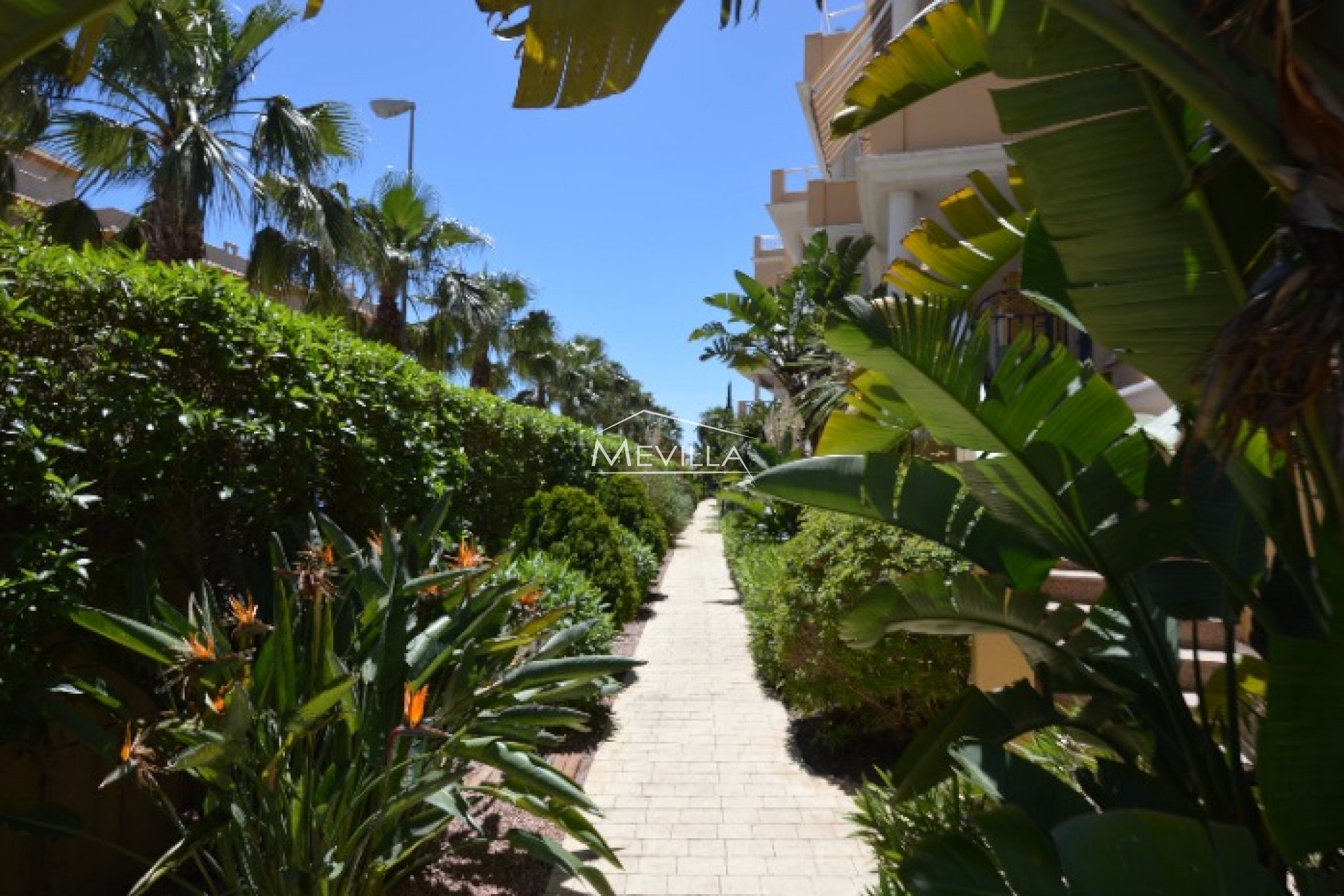 Reventas - Apartamento - Orihuela Costa - Cabo Roig