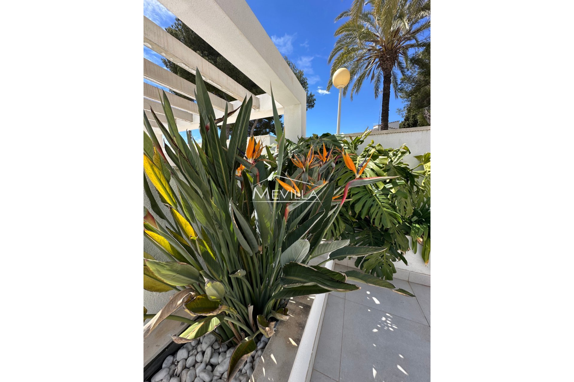 Reventas - Chalet / Villa - Orihuela Costa - Cabo Roig