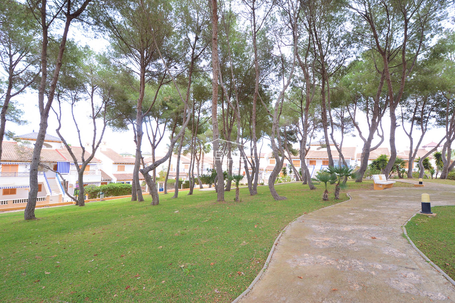 Reventes -  - Pilar de la Horadada - Torre de la Horadada