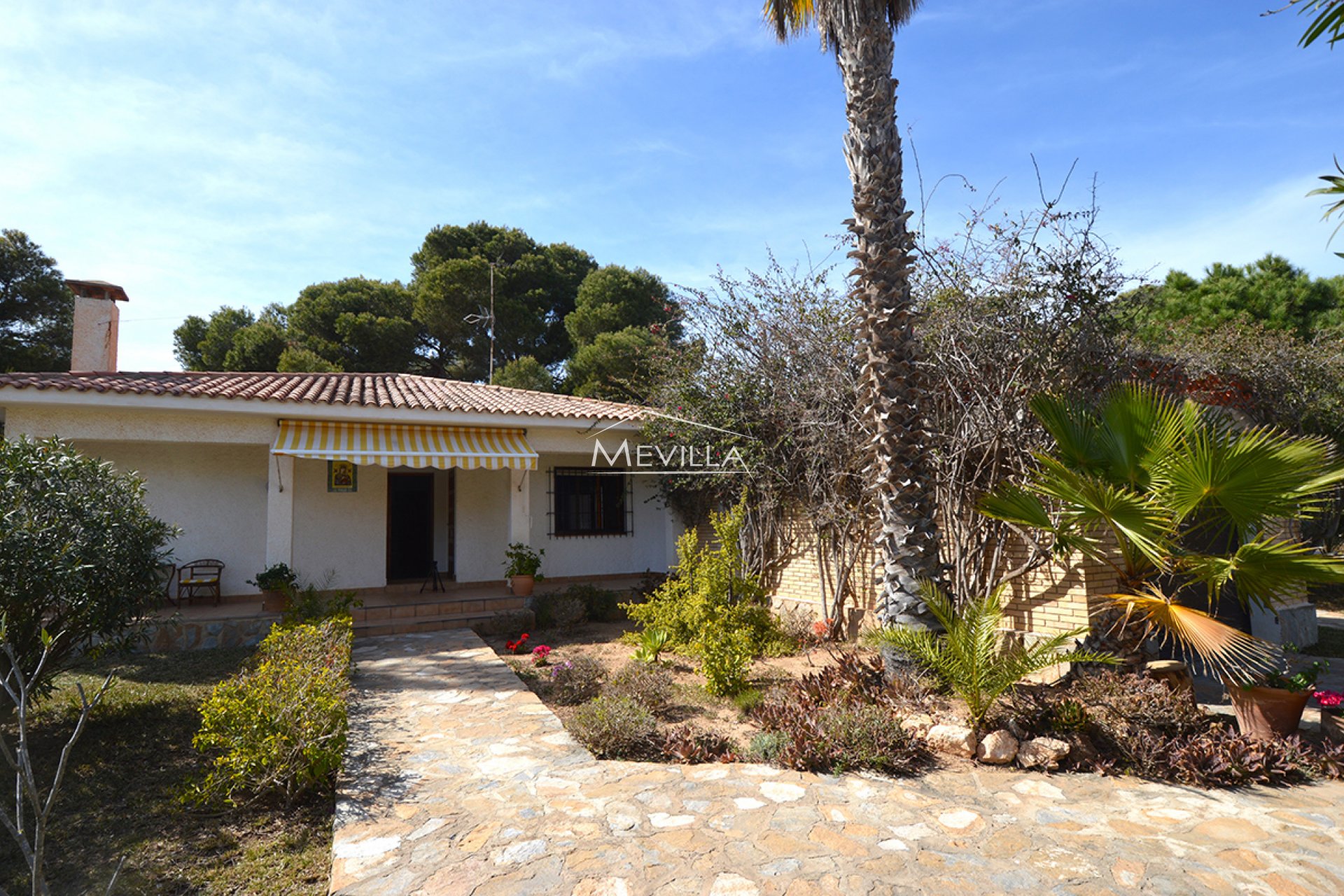 Reventes - Plot - Orihuela Costa - Cabo Roig