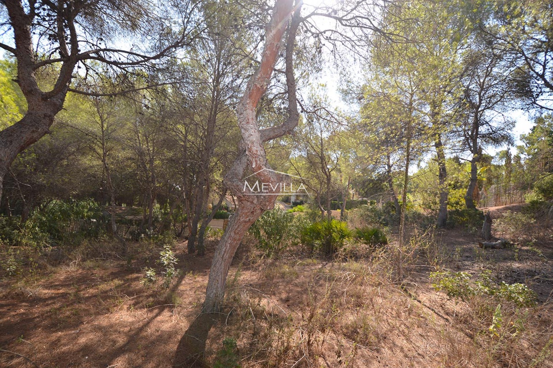 Reventes - Plot - Orihuela Costa - Campoamor