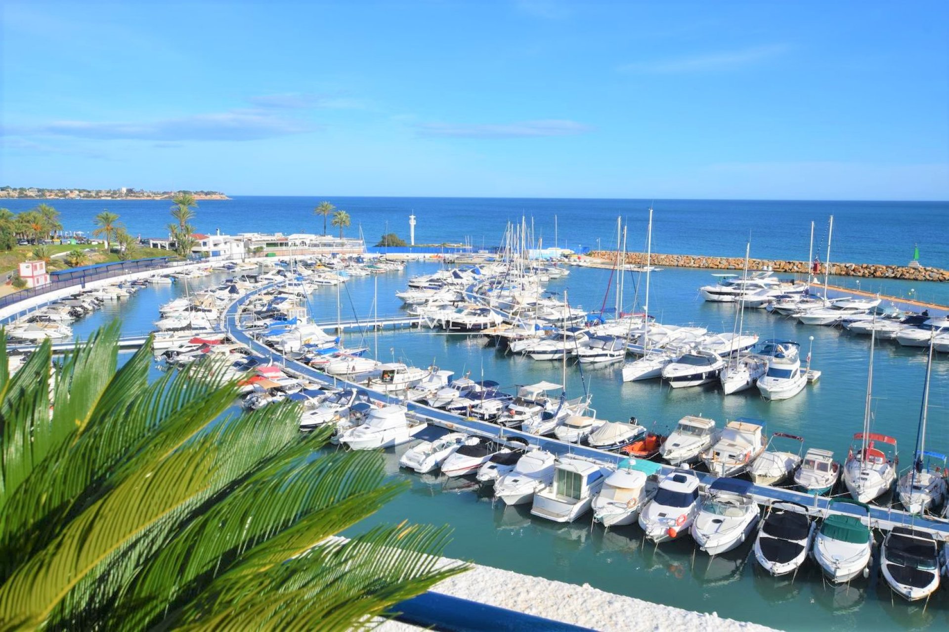 Salg (Resales) - Villa - Orihuela Costa - Campoamor