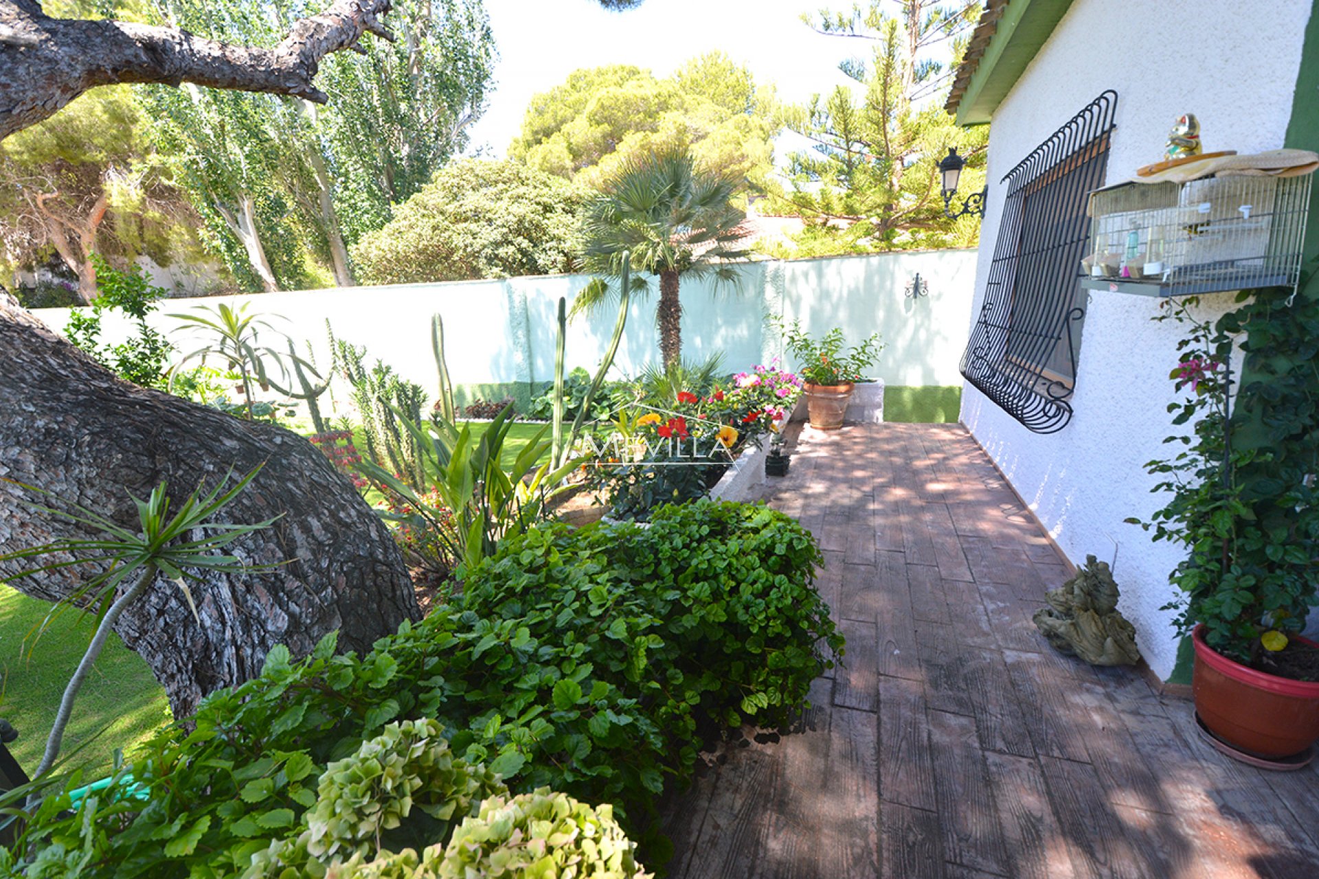 Salg (Resales) - Villa - Orihuela Costa - Campoamor