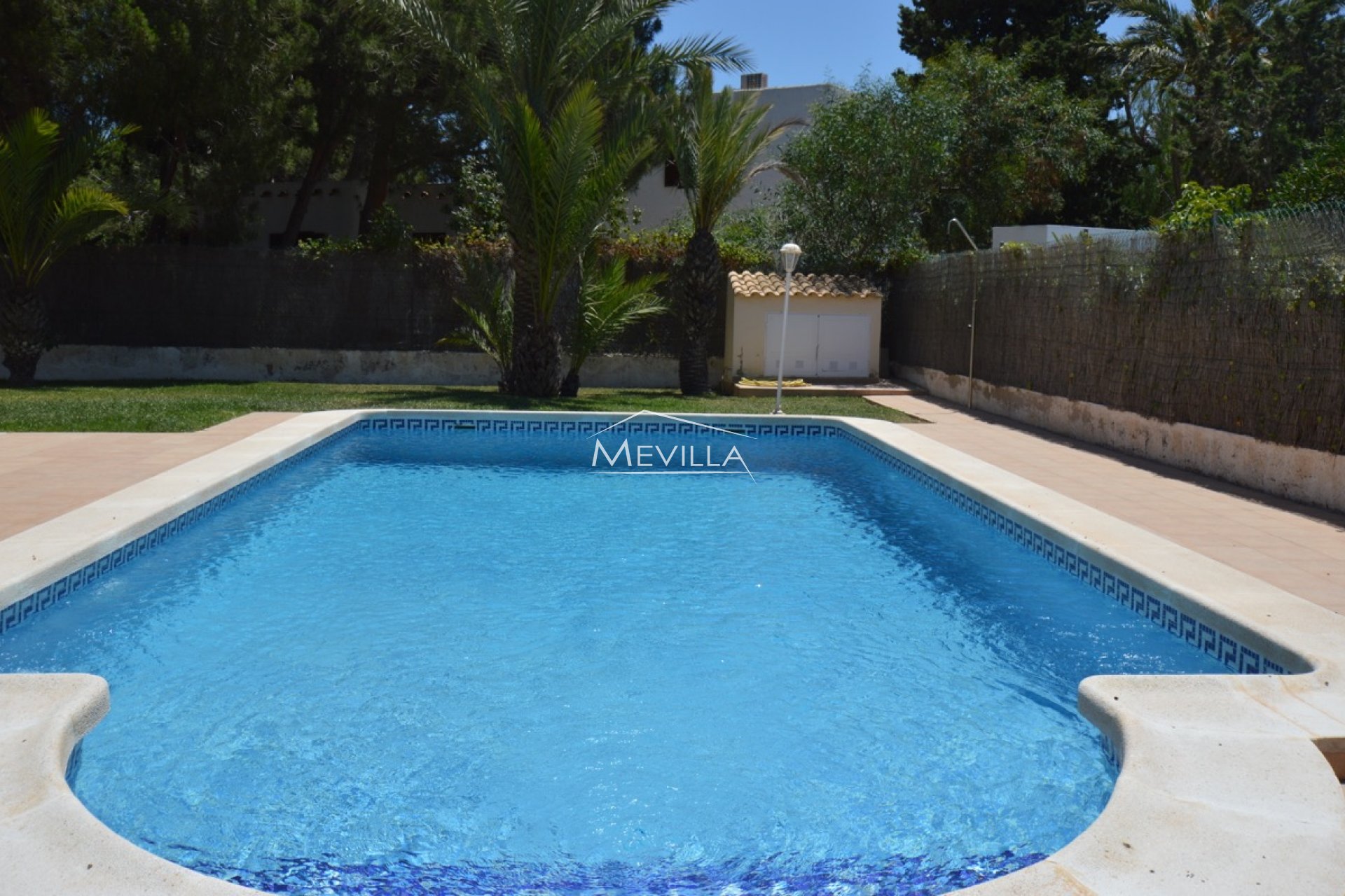 The big swimming pool 