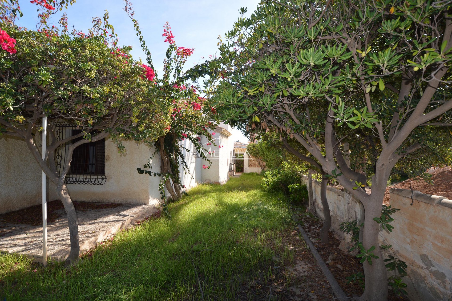 The garden