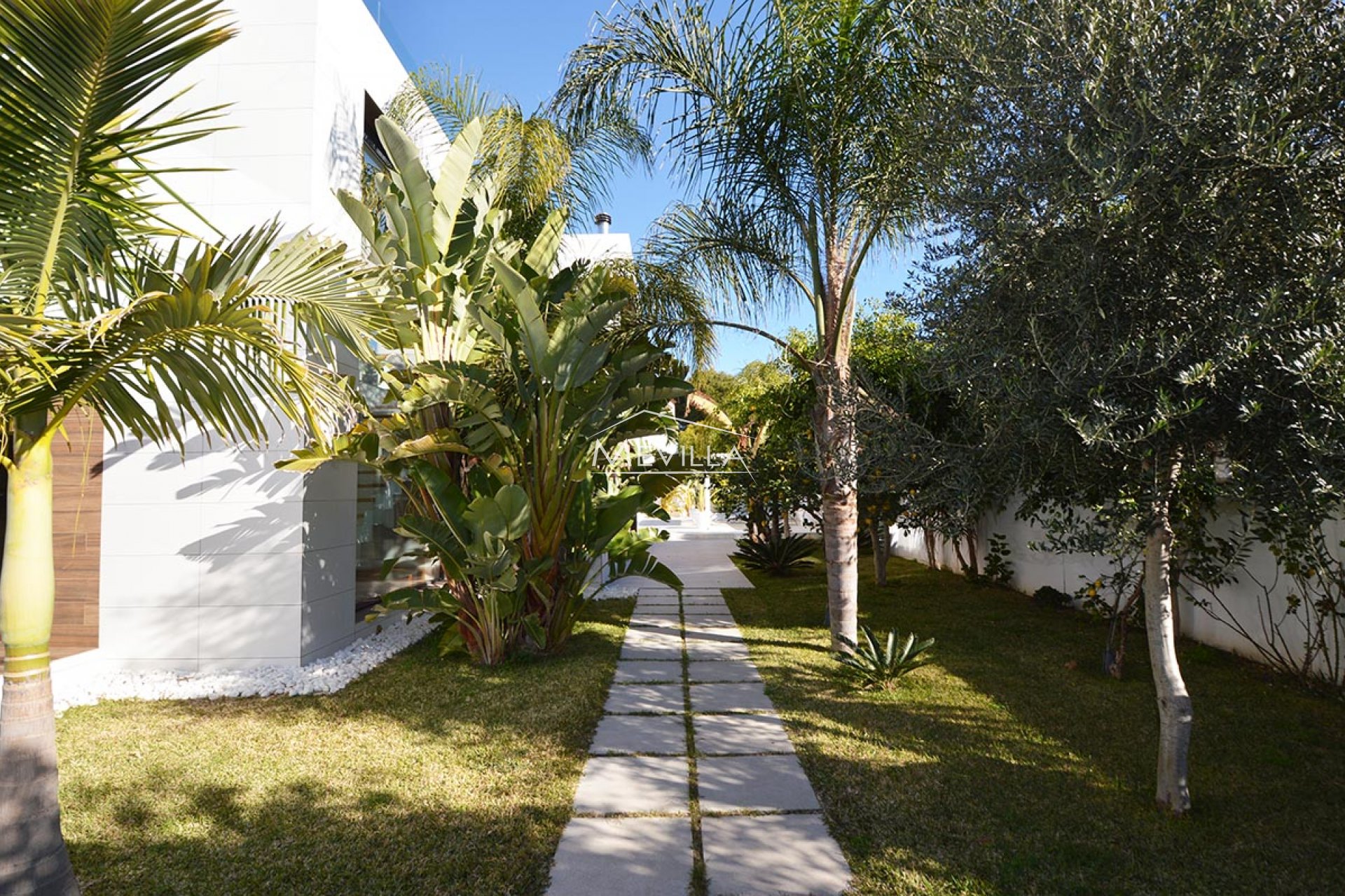 The garden