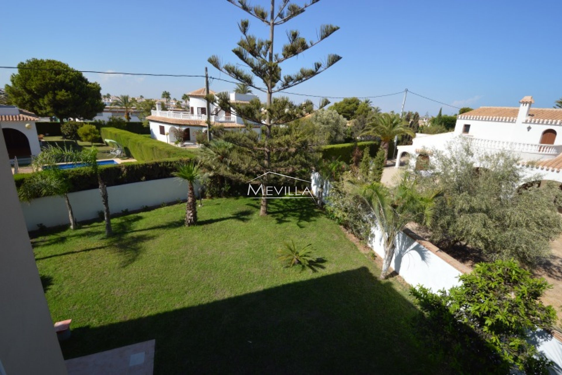 The garden