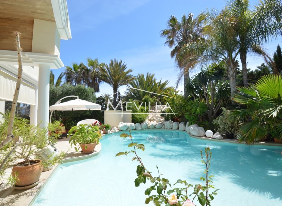 The swimming pool 