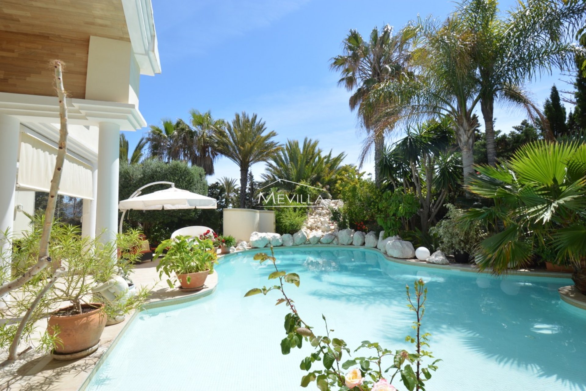 The swimming pool 