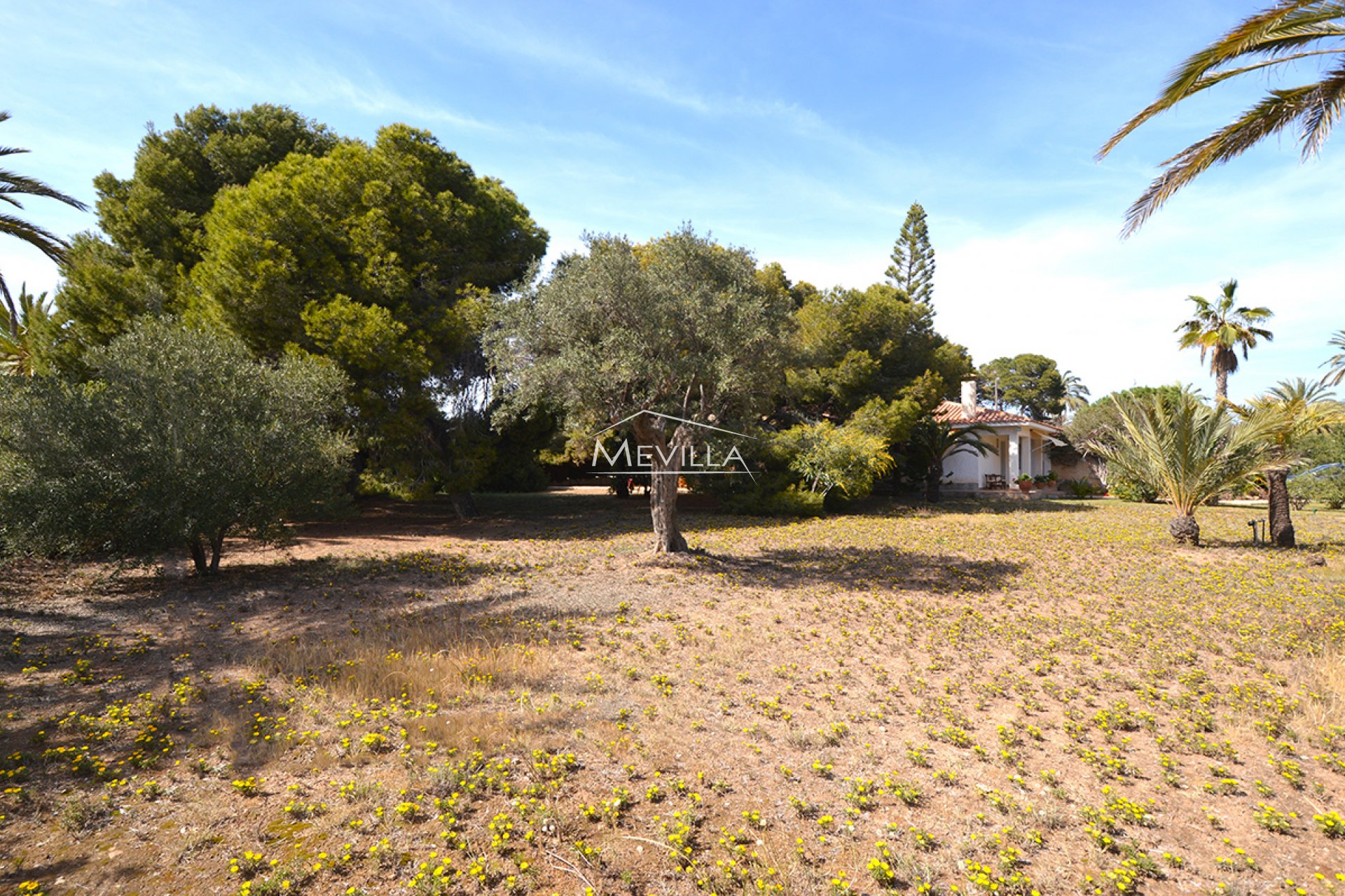 Wederverkoop - Plot - Orihuela Costa - Cabo Roig