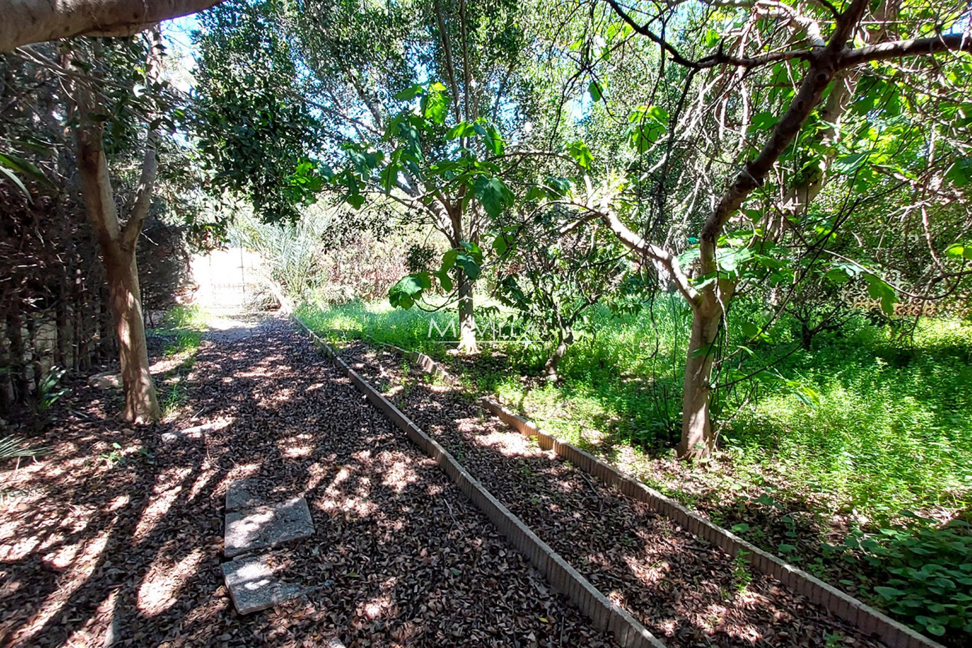 Wederverkoop - Villa - Orihuela Costa - Campoamor