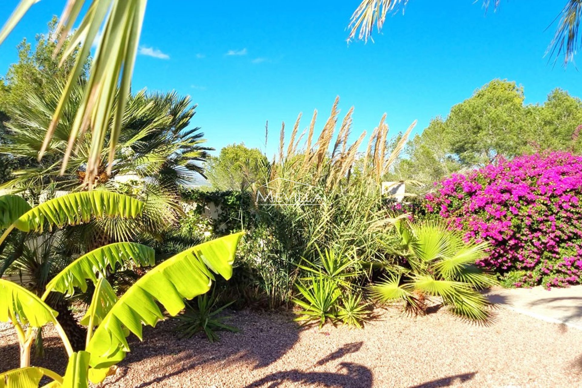 Wederverkoop - Villa - San Miguel de Salinas