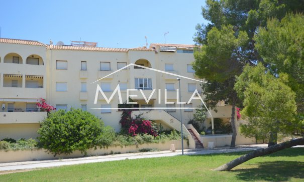Wohnungen - Vermietungen - Orihuela Costa - La Zenia