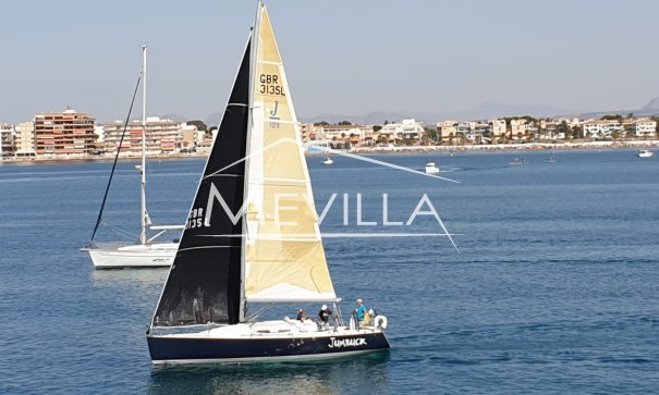 Wohnungen - Vermietungen - Torrevieja - Jumbuck
