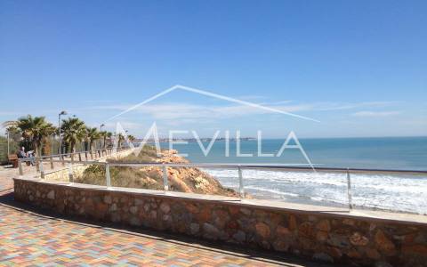 MIL PALMERAS - ORIHUELA COSTA - COMPLETE GUIDE