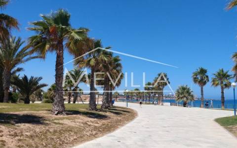 PLAYA FLAMENCA, ORIHUELA COSTA - COMPLETE GUIDE