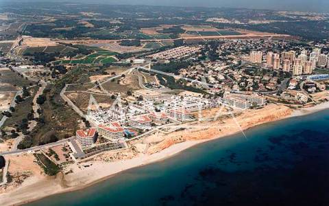 MIL PALMERAS - ORIHUELA COSTA - COMPLETE GUIDE