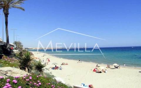 MIL PALMERAS - ORIHUELA COSTA - COMPLETE GUIDE