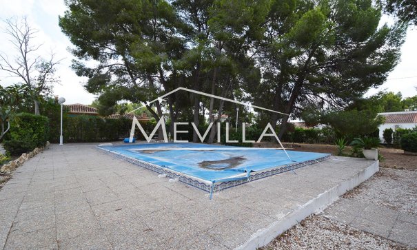 The swimming pool