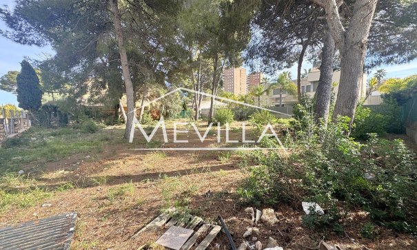 Resales - Plot - Orihuela Costa - Campoamor