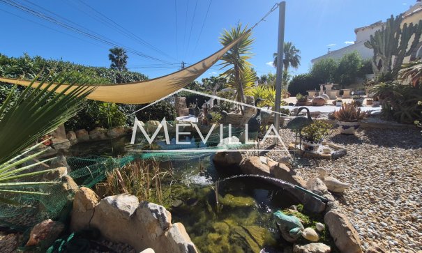 Återförsäljare - Villa - Orihuela Costa - Villamartin