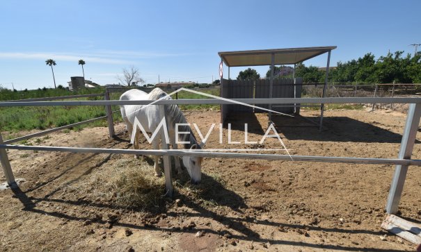 New built - Villa - Guardamar / Ciudad Quesada / La Marina - Ciudad Quesada