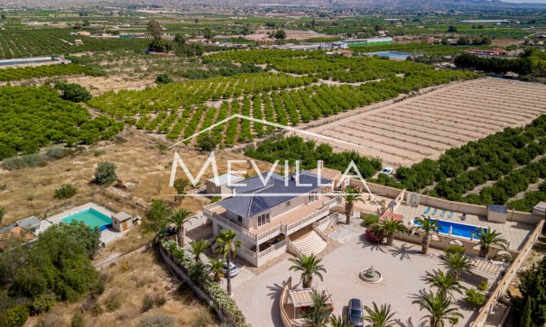 Återförsäljare - Villa - Orihuela