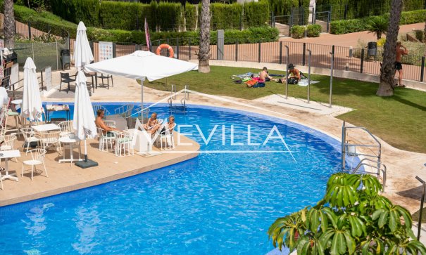 Resales - Apartment - Orihuela Costa - Playa Flamenca